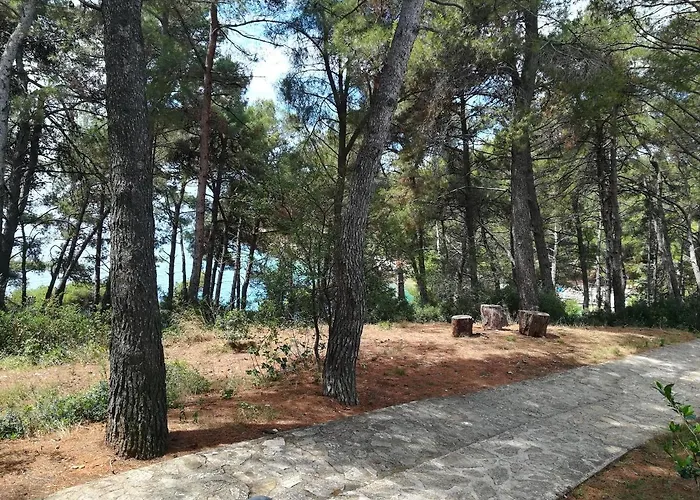 Apartmani Katerina
